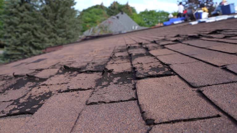 Best Rubber Roofing (EPDM, TPO)  in Reynoldsville, PA